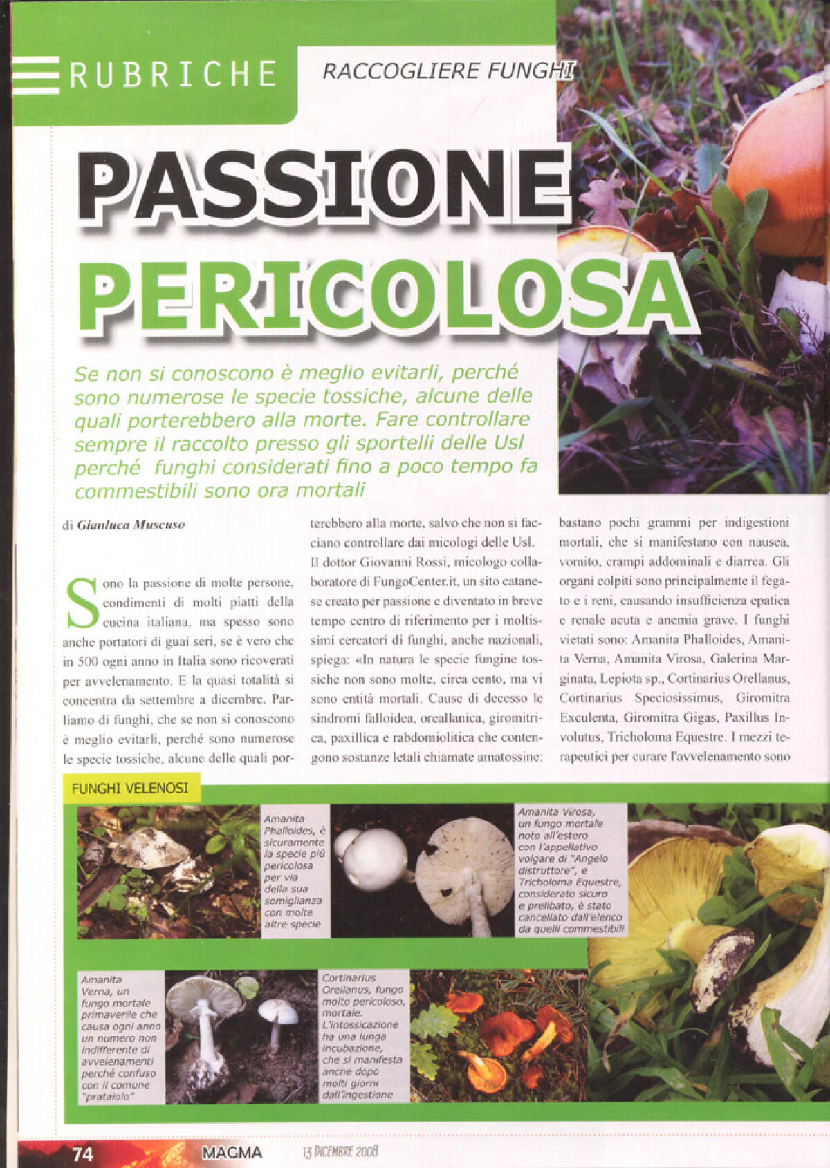 Raccogliere funghi: passione pericolosa - INTERVISTA RIVISTA MAGMA - 