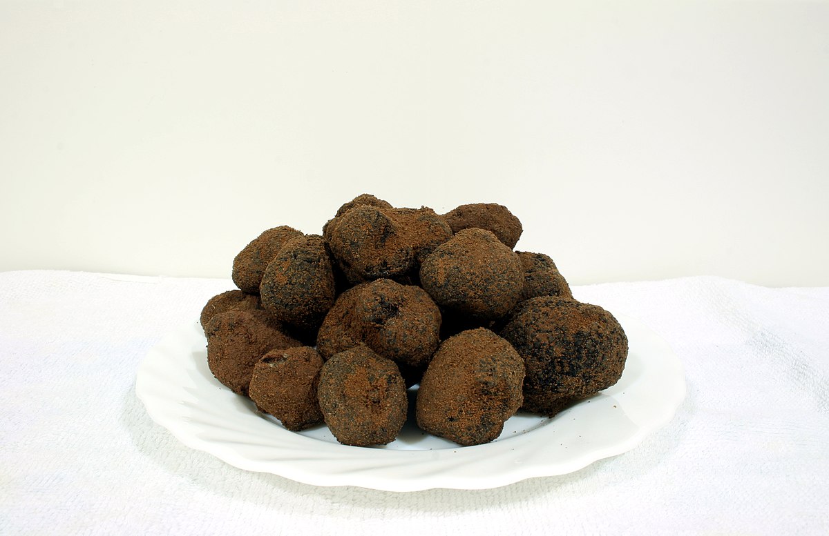 Tuber melanosporum