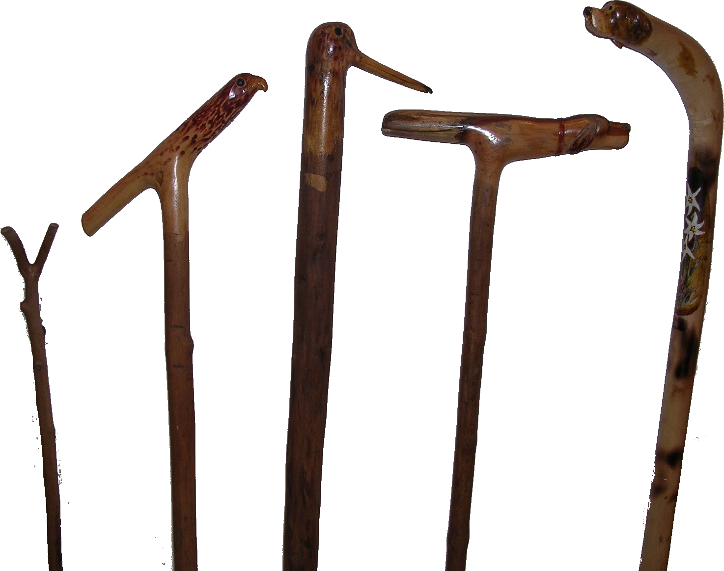 Bastone per raccolta dei funghi