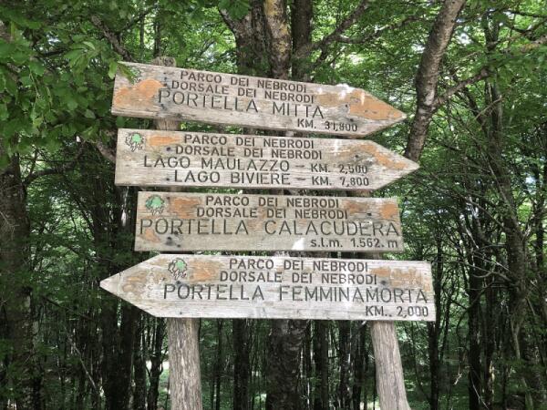 I Monti Nebrodi e il mondo dei funghi: un paradiso micologico in Sicilia