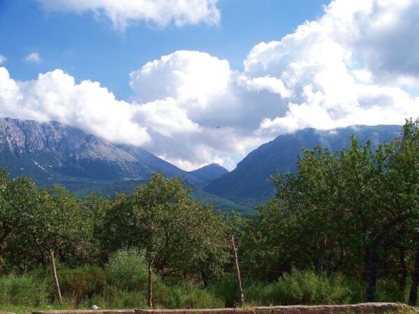 Il Parco delle Madonie: Un paradiso per gli amanti dei funghi