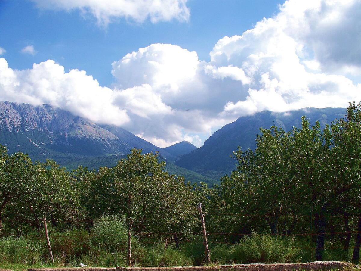Il Parco delle Madonie: Un paradiso per gli amanti dei funghi - 