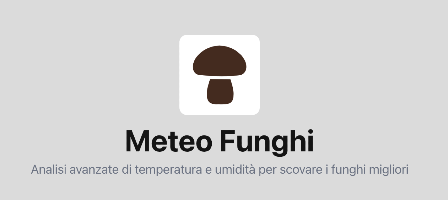 Termini del servizio - 