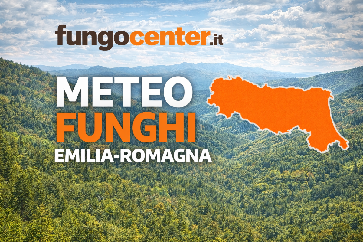 Meteo Funghi Emilia-Romagna: semaforo con previsione di crescita dei funghi in Tempo Reale - 