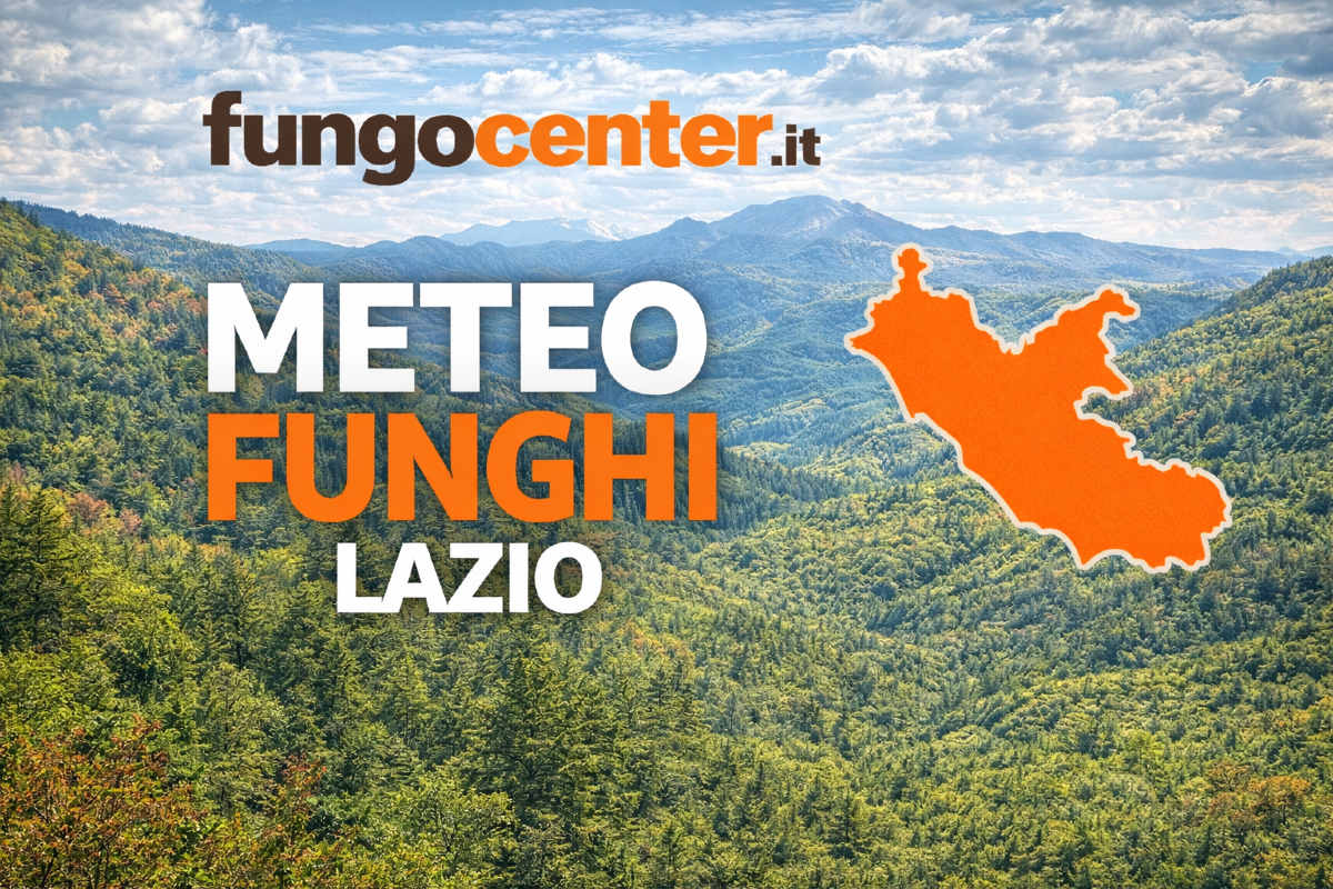 Meteo Funghi Lazio: semaforo con previsione di crescita dei funghi in Tempo Reale - 