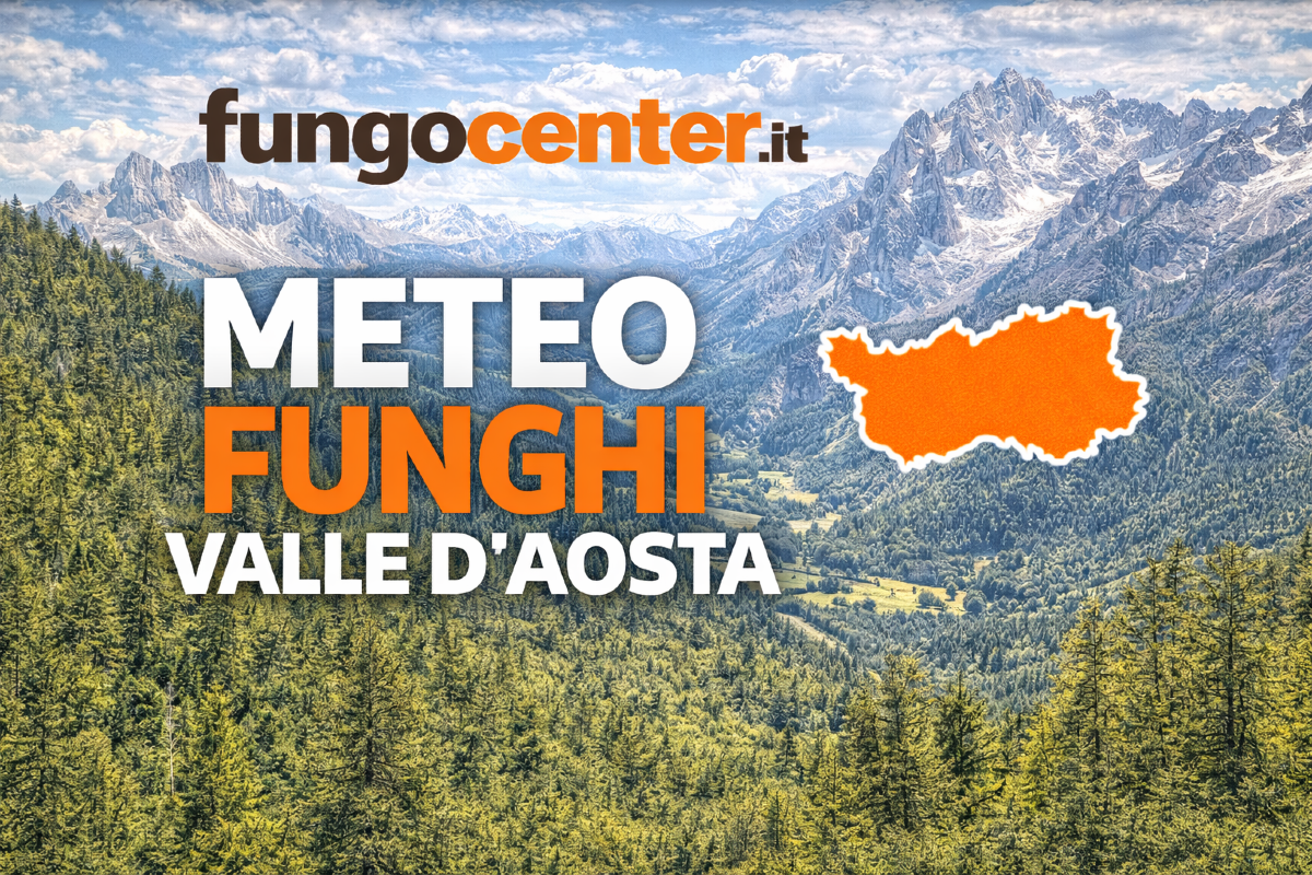 Meteo Funghi Valle d'Aosta: semaforo con previsione di crescita dei funghi in Tempo Reale - 