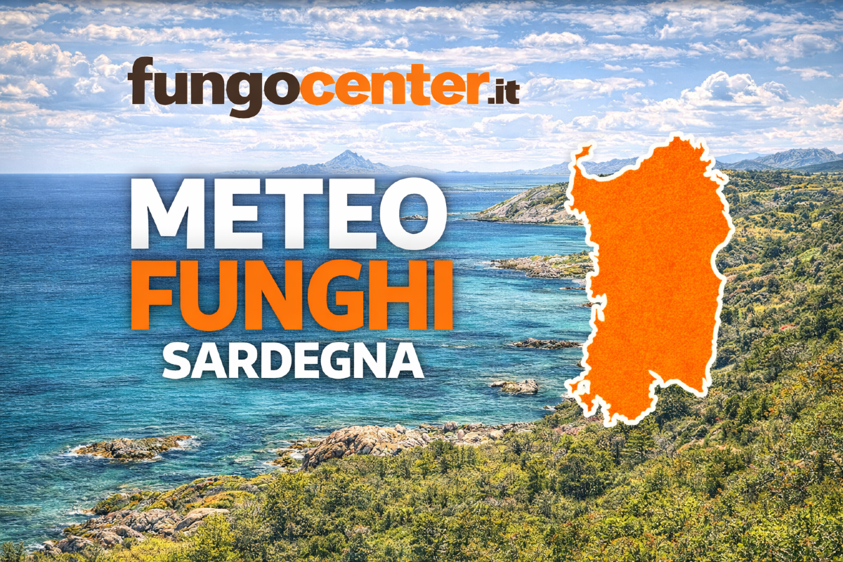 Meteo Funghi Sardegna: semaforo con previsione di crescita dei funghi in Tempo Reale - 