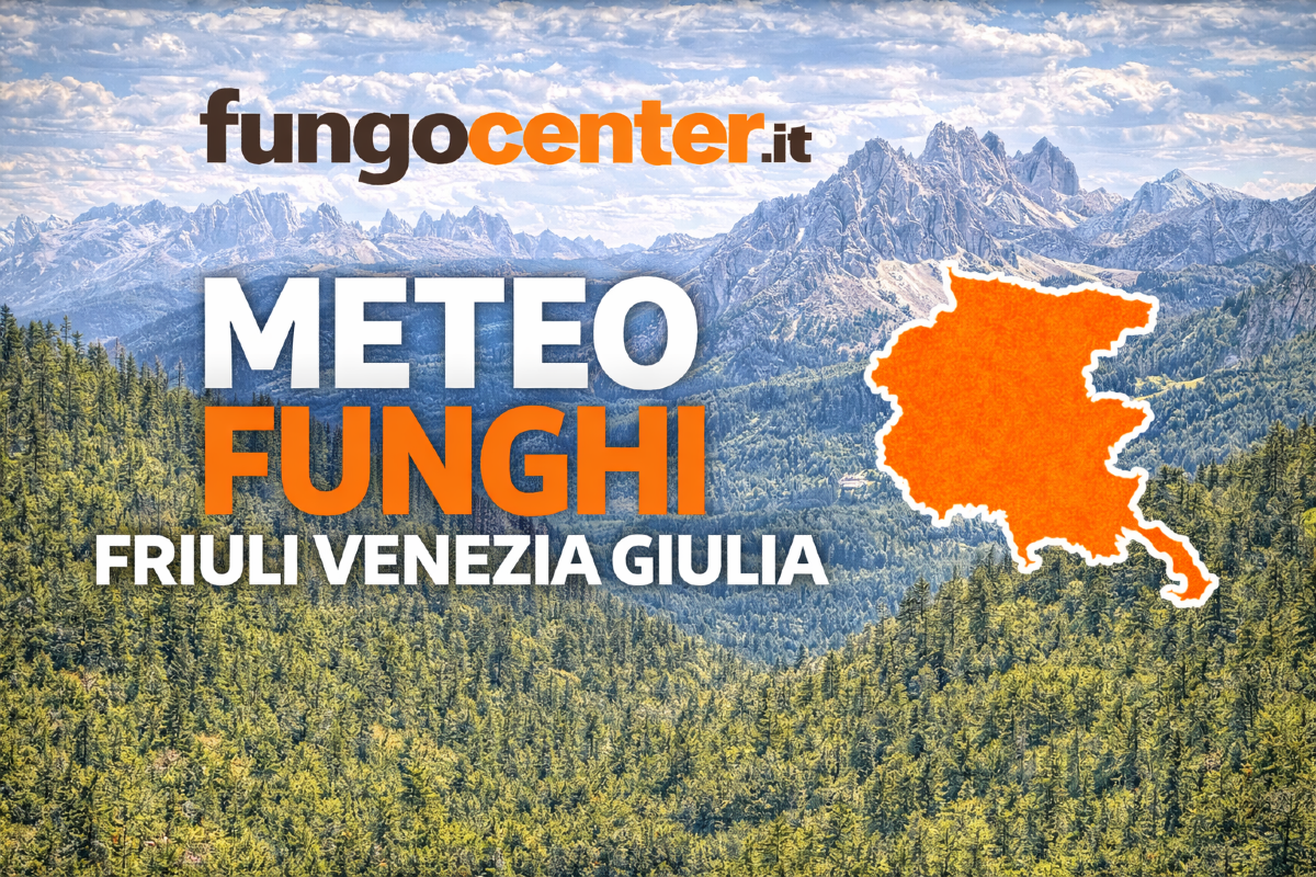 Meteo Funghi Friuli-Venezia Giulia: semaforo con previsione di crescita dei funghi in Tempo Reale - 
