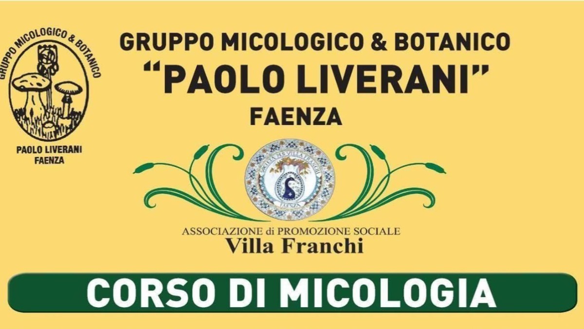 Faenza: riparte il corso 2026 di micologia del Gruppo “P. Liverani”, novità sulle erbe selvatiche - 