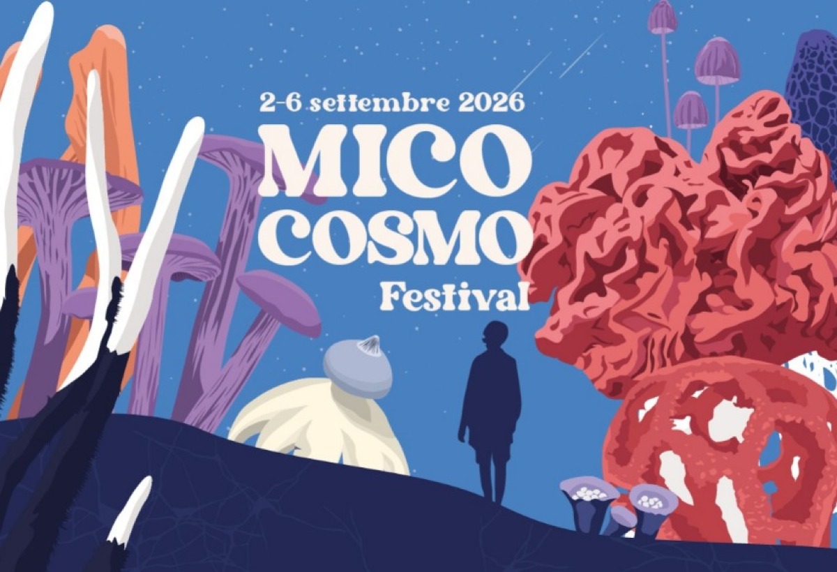 Meet Fungi a MicoCosmo: Federparchi porta la micologia di territorio a Cevo (2-6 settembre) - 