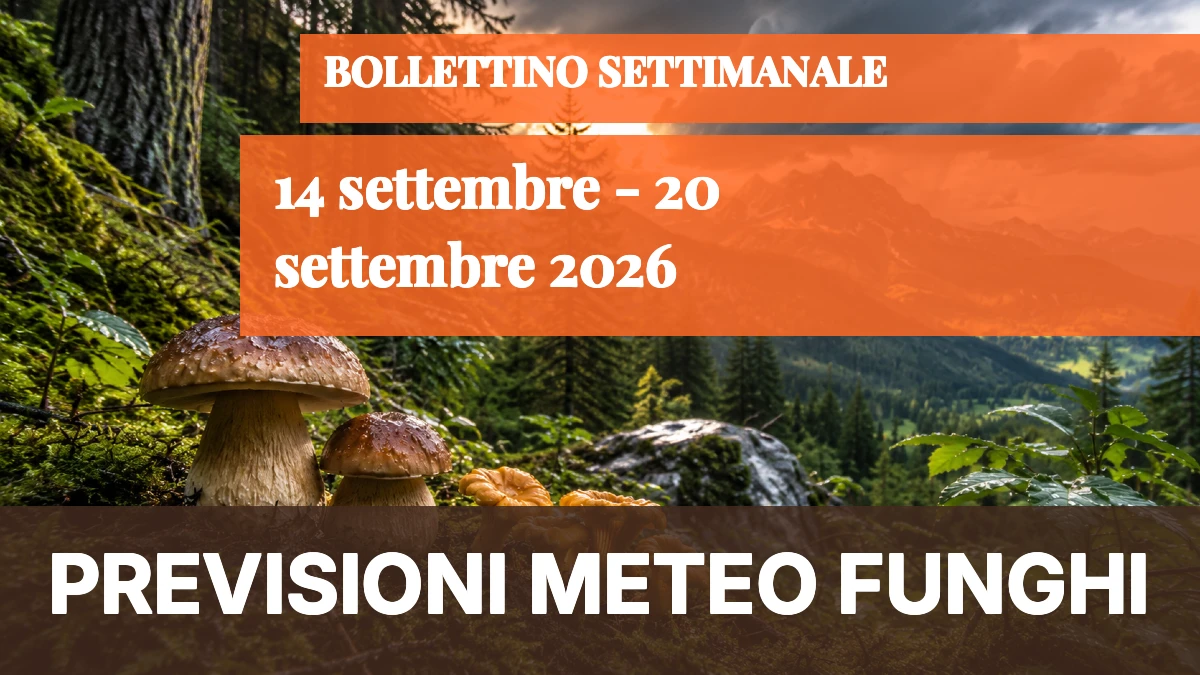 Meteo Funghi — 14-20 settembre 2026: prima ripresa sulle Alpi, il resto d’Italia resta indietro - 