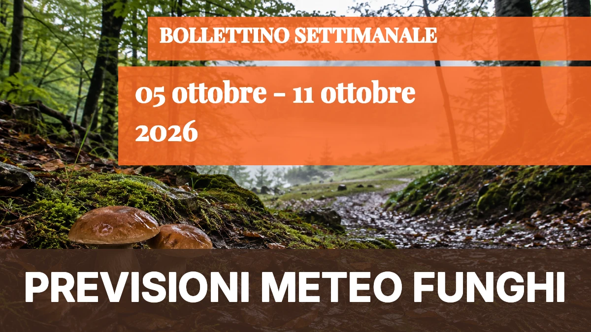 Meteo Funghi dal 5 all'11 ottobre 2026: timidi segnali di ripresa, Lazio in evidenza - 