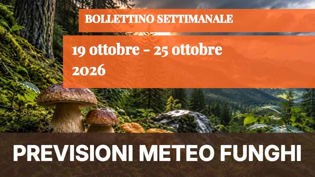 Meteo Funghi — 19-25 ottobre 2026: segnali localizzati al Nord, ma nessuna ripresa diffusa - 