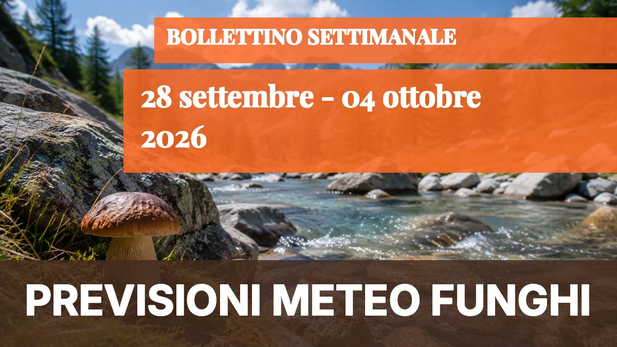 Meteo Funghi — 28 settembre ÷ 4 ottobre 2026: settimana asciutta, soltanto lampi locali per la crescita fungina - 